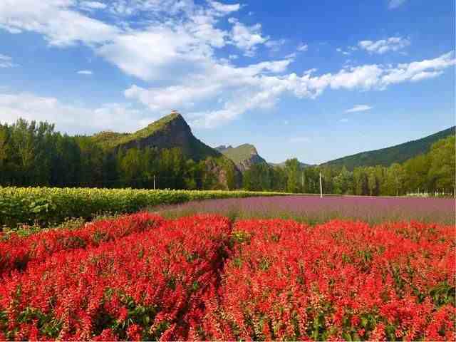 养眼画廊|京郊自驾最美路线之百里山水画廊