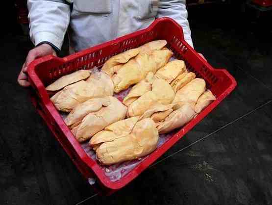 为什么世界上最会吃鹅肝的国家是法国？