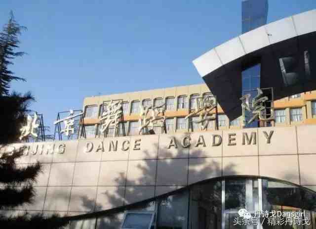 舞蹈学习学校|盘点国内十大舞蹈院校