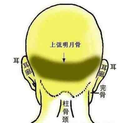 金口诀入门|骨相学秘传——金口诀