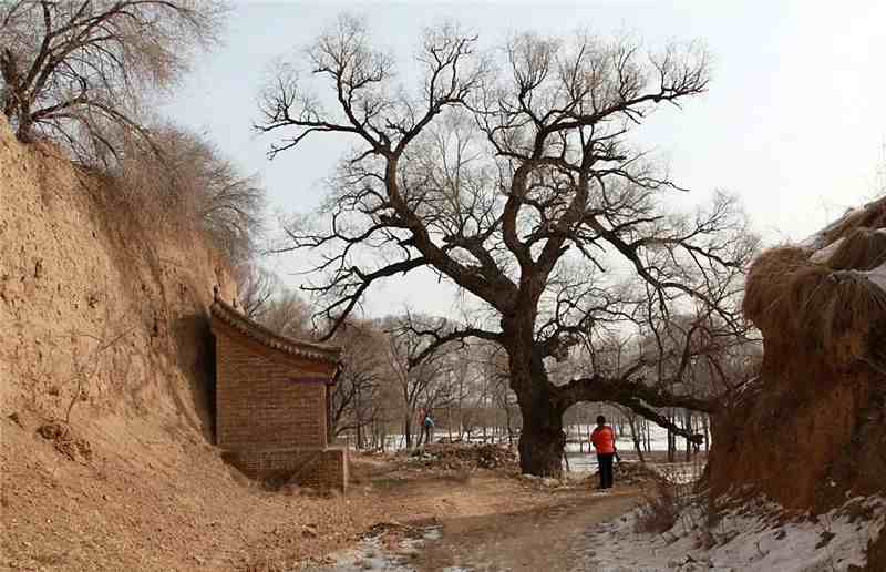 白后堡村|张家口古村落——拜灯仙发源地白后堡村