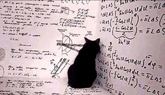 薛定谔的猫什么意思|什么是薛定谔的猫？