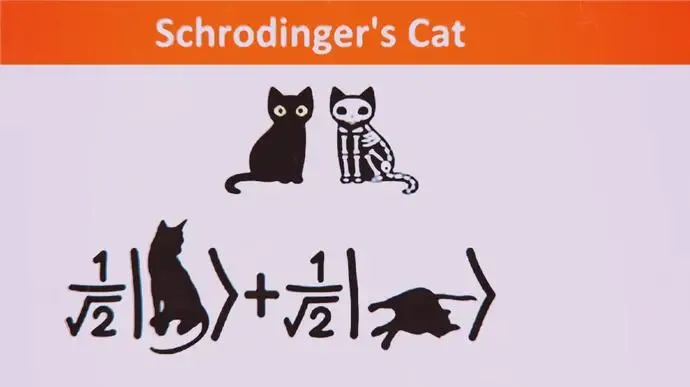 薛定谔的猫什么意思|什么是薛定谔的猫？