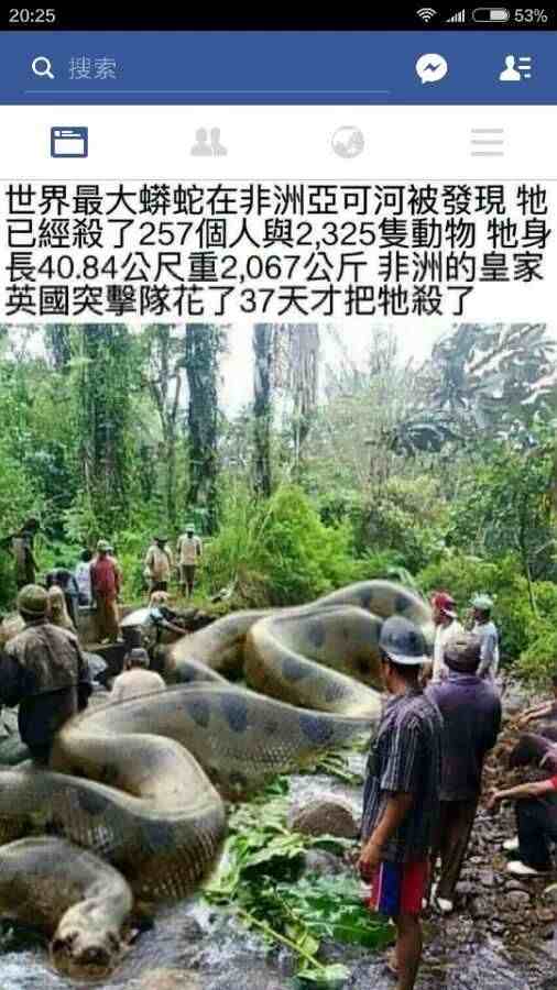 中国最大的蟒蛇|中国最大的蛇是什么样子