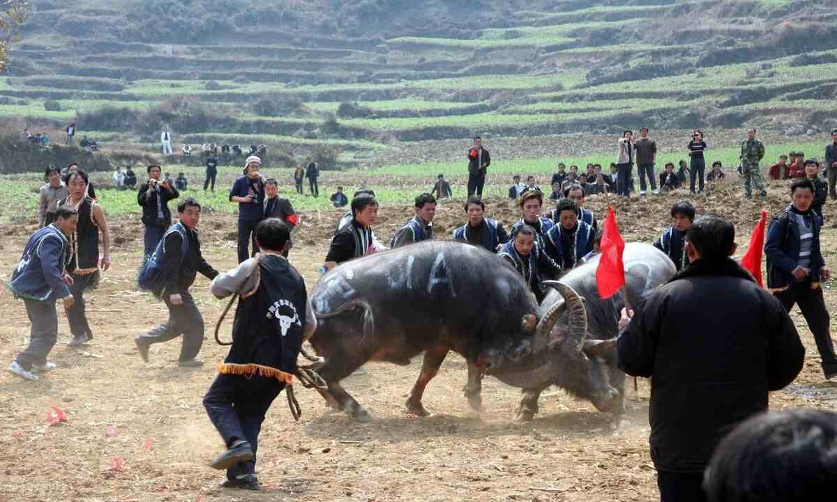 关于我国少数民族的一些节日简述