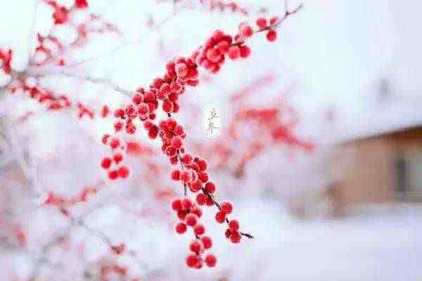 立冬祝福语简短独特| 立冬节气的简短祝福语