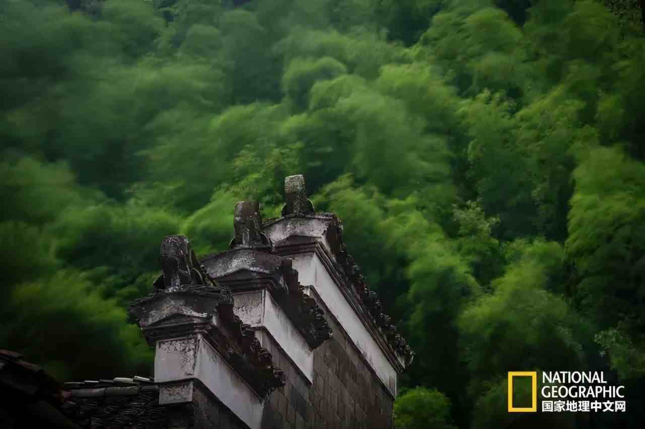 浙江 古镇|浙江这十处古镇