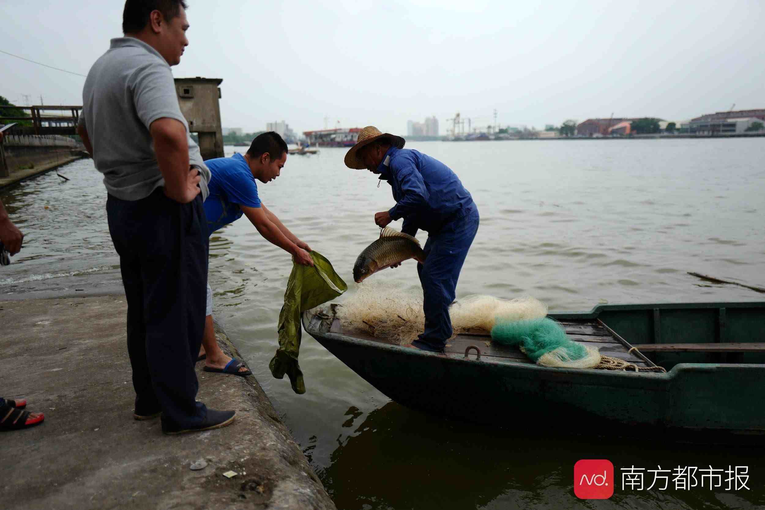 红尘摆渡人|江湖已远，红尘摆渡人安在？