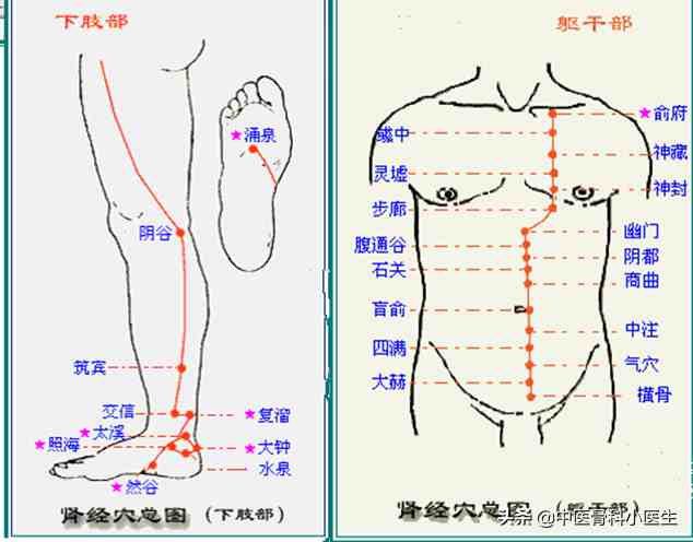 肾经按摩|跟着小中医一起学习按摩技术十五