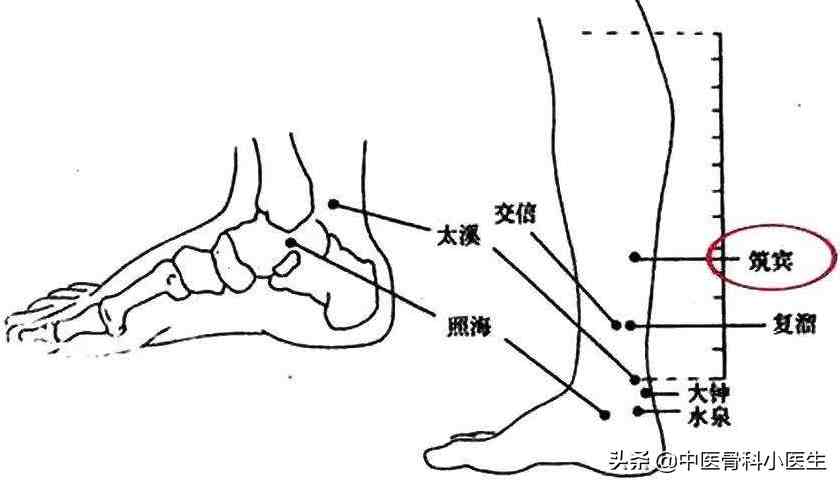 肾经按摩|跟着小中医一起学习按摩技术十五