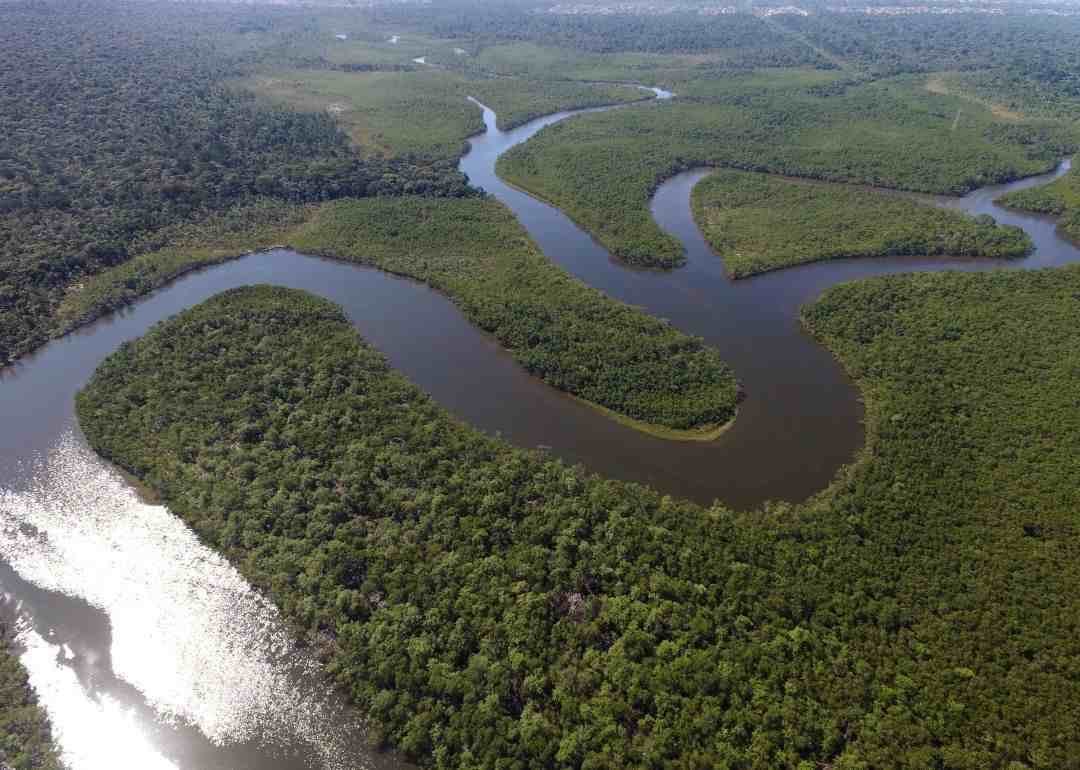 热带雨林的作用|亚马逊热带雨林在历史上的重要作用有哪些？