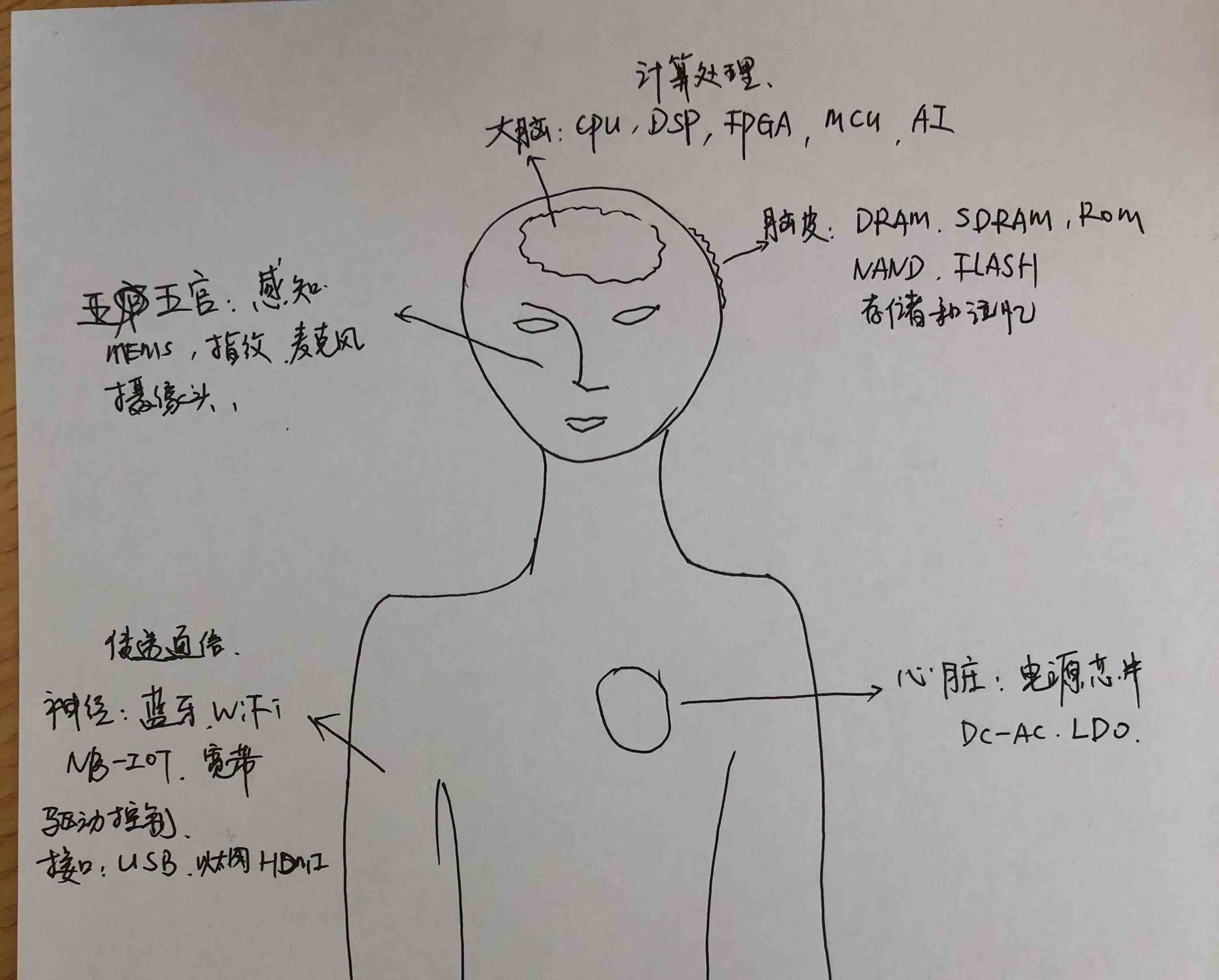 芯片分类| 一张图看懂芯片分类