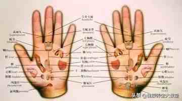 手掌对应内脏|一双手，掌握你的五脏六腑
