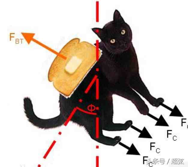 论黄油猫悖论 矛盾的存在组合体 黄油和猫到底孰是孰非