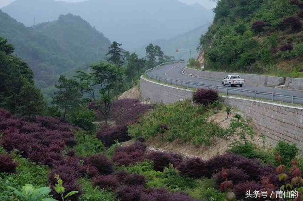 一个远离城市喧嚣、忘掉遐想的地方：北京怀柔郊外山吧度假村