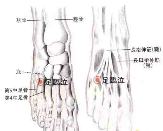 打通任督二脉的方法|能帮你打开任督二脉，不是练绝世武功哦