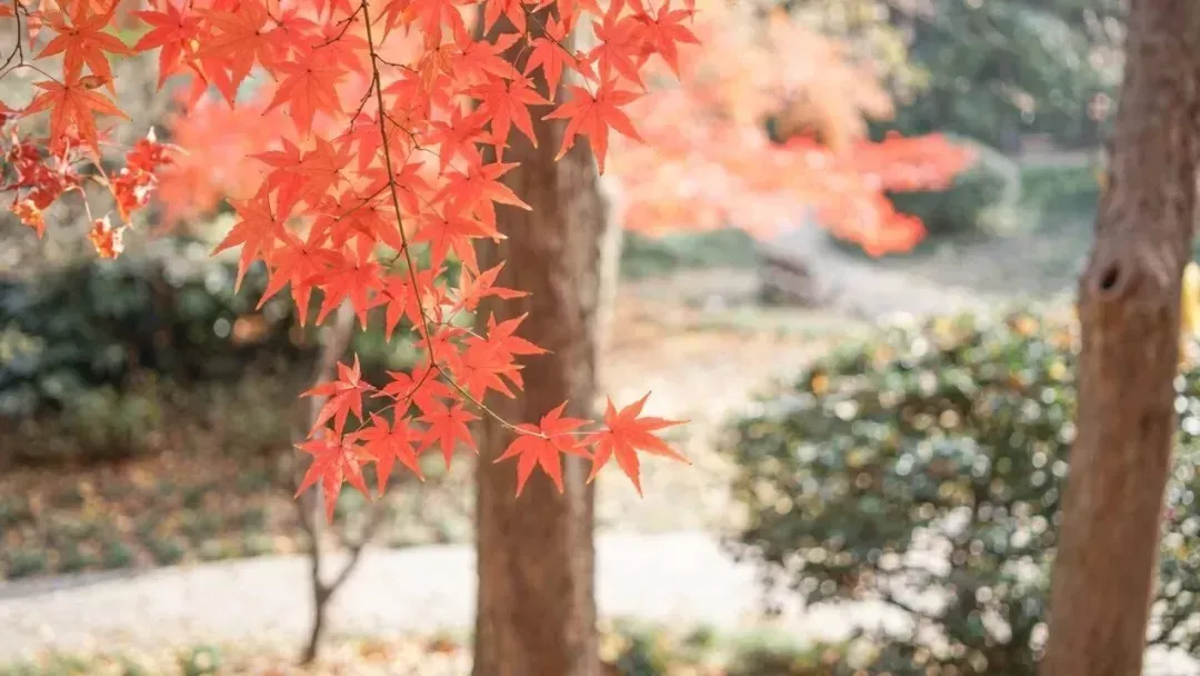 微型小说|年度十佳微小说