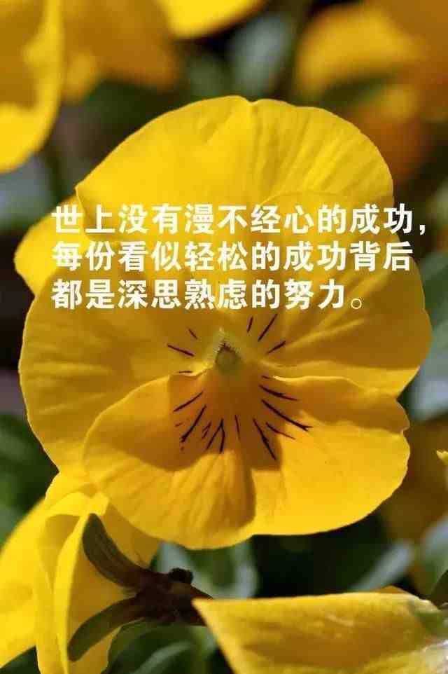 激励文章|3篇励志美文