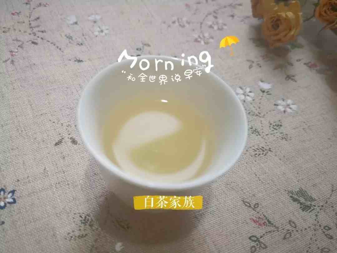 白茶是什么茶？与其它茶叶有什么不一样？