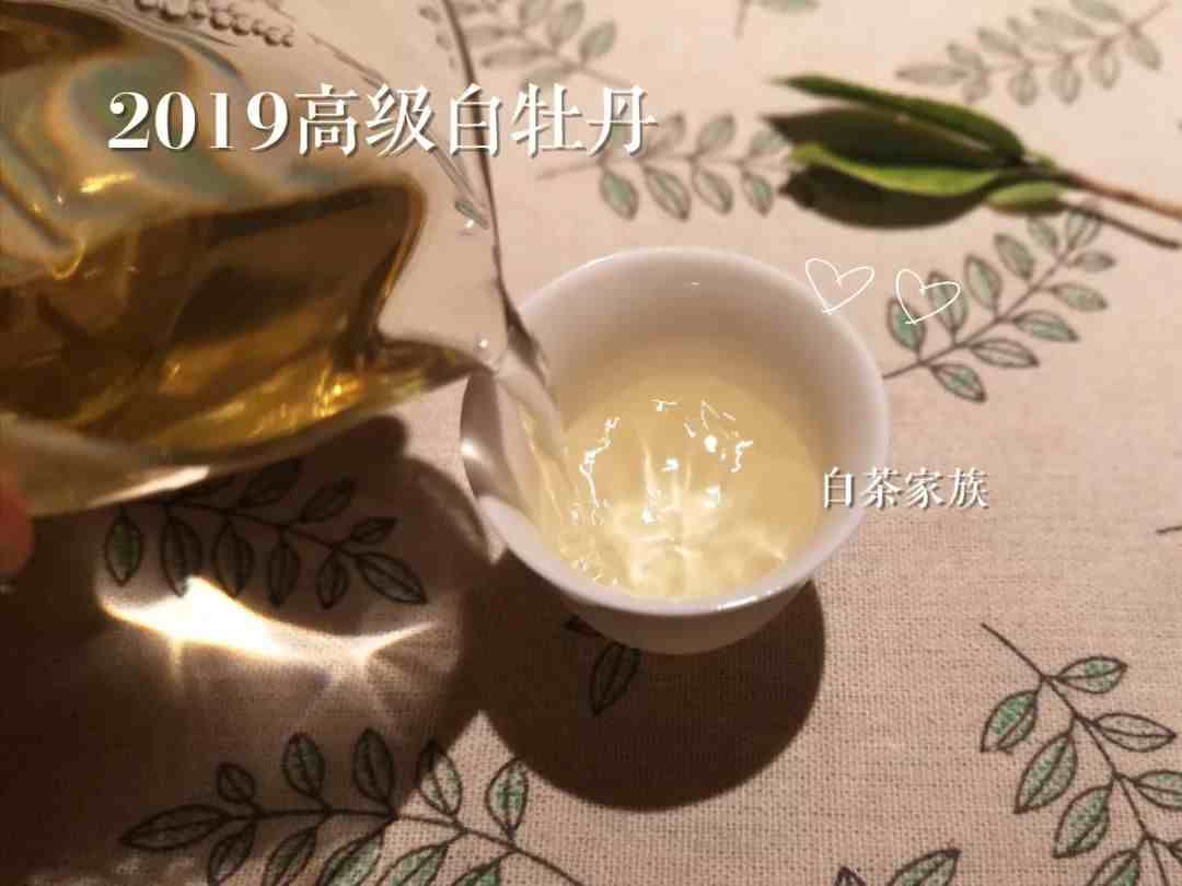 白茶是什么茶？与其它茶叶有什么不一样？