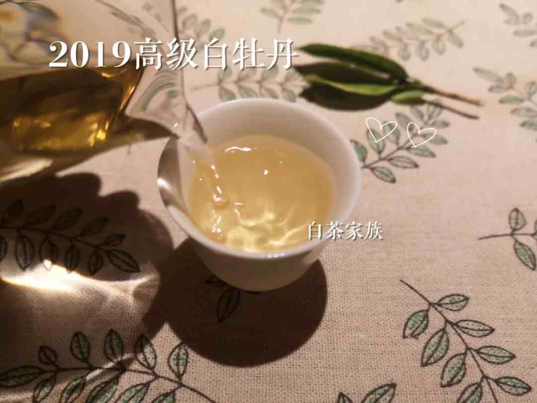 白茶是什么茶？与其它茶叶有什么不一样？