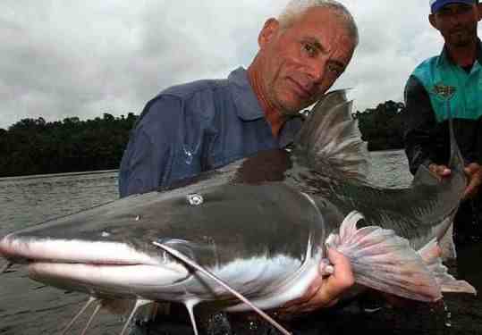 盘点世界上十大凶猛淡水鱼，黑鱼竟然也在排行中！