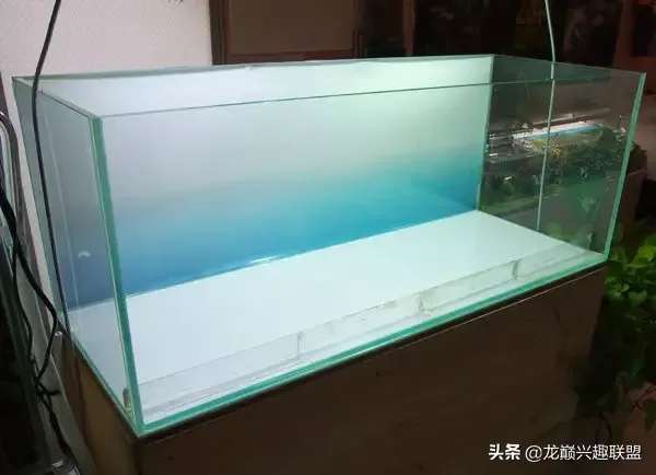 水草造景图片|一个极具视觉冲击的水草造景作品