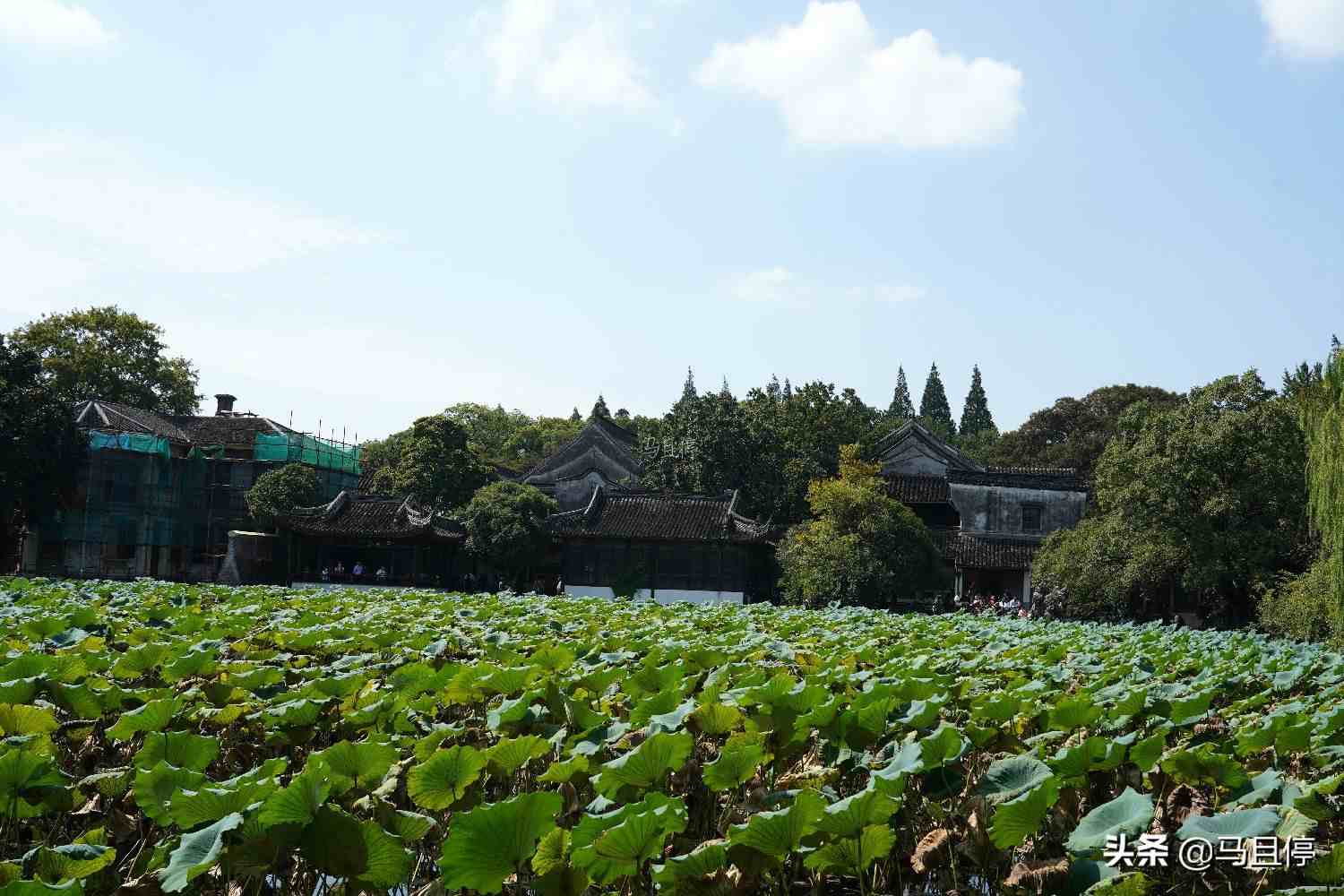 浙江旅行不可忽略的3个古镇，比乌镇西塘更原生态，值得去旅行