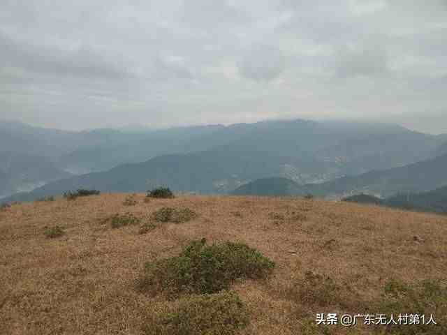 高州市马贵镇黄草顶，45分钟登顶，粤西境内超轻松的一座千米山