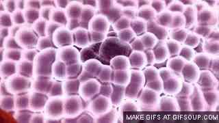癌细胞的特点|癌细胞的10大特征，不看不知道！