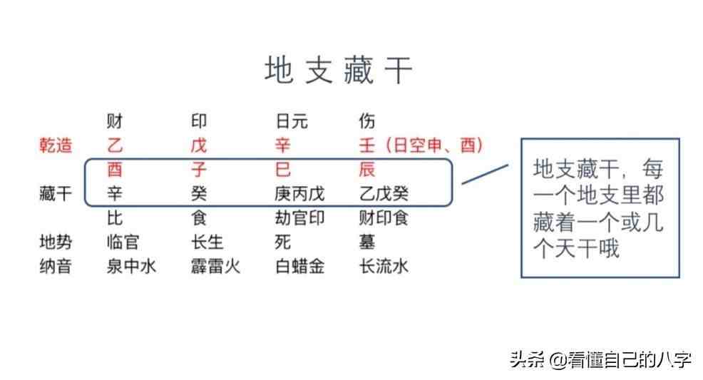 八字中的地支藏干 地支藏干