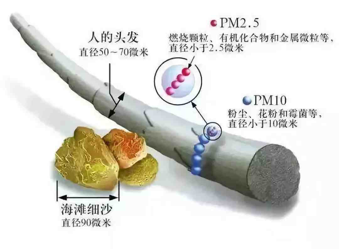 pm什么意思|PM2.5和PM10的来源