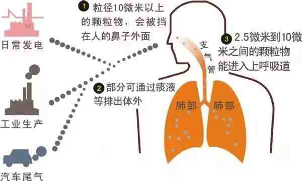 pm什么意思|PM2.5和PM10的来源