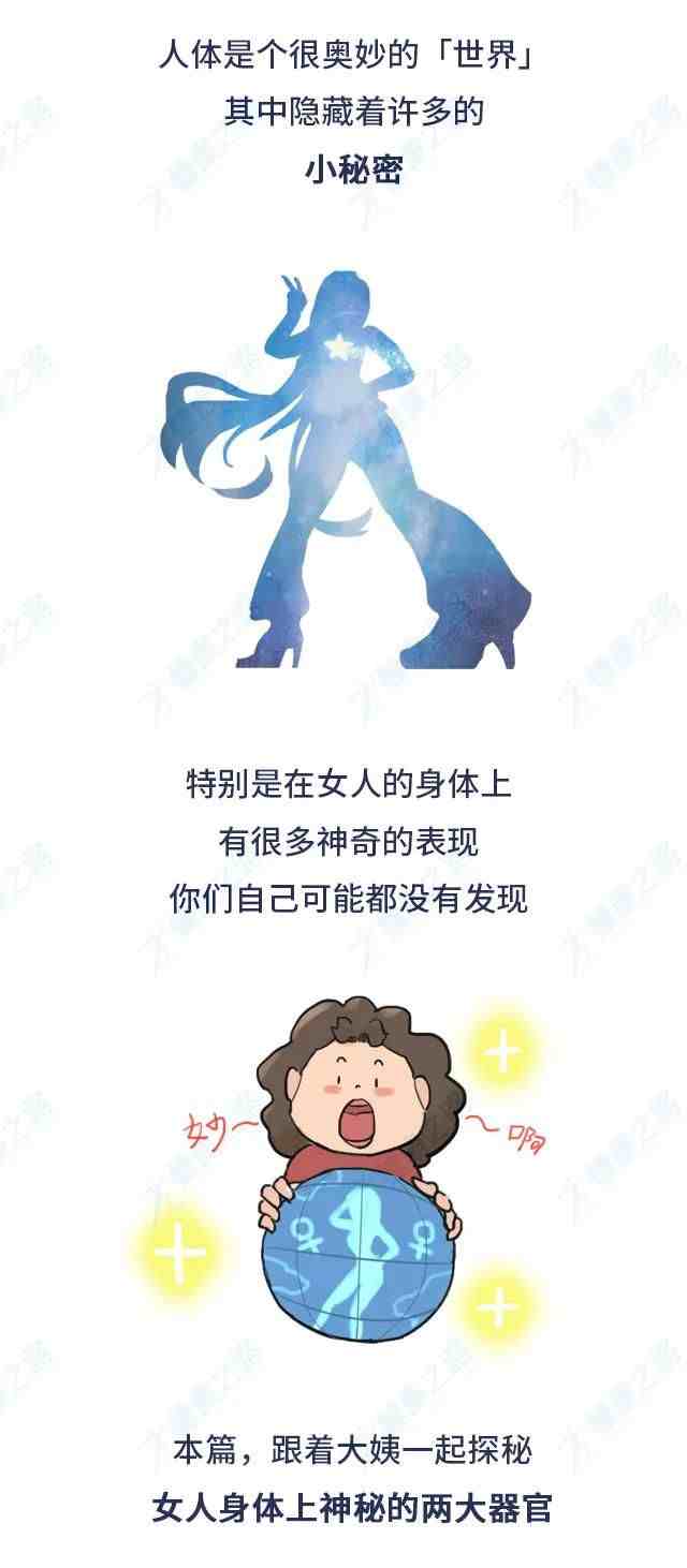 女人的身体秘密|女人身体的6个小秘密必知