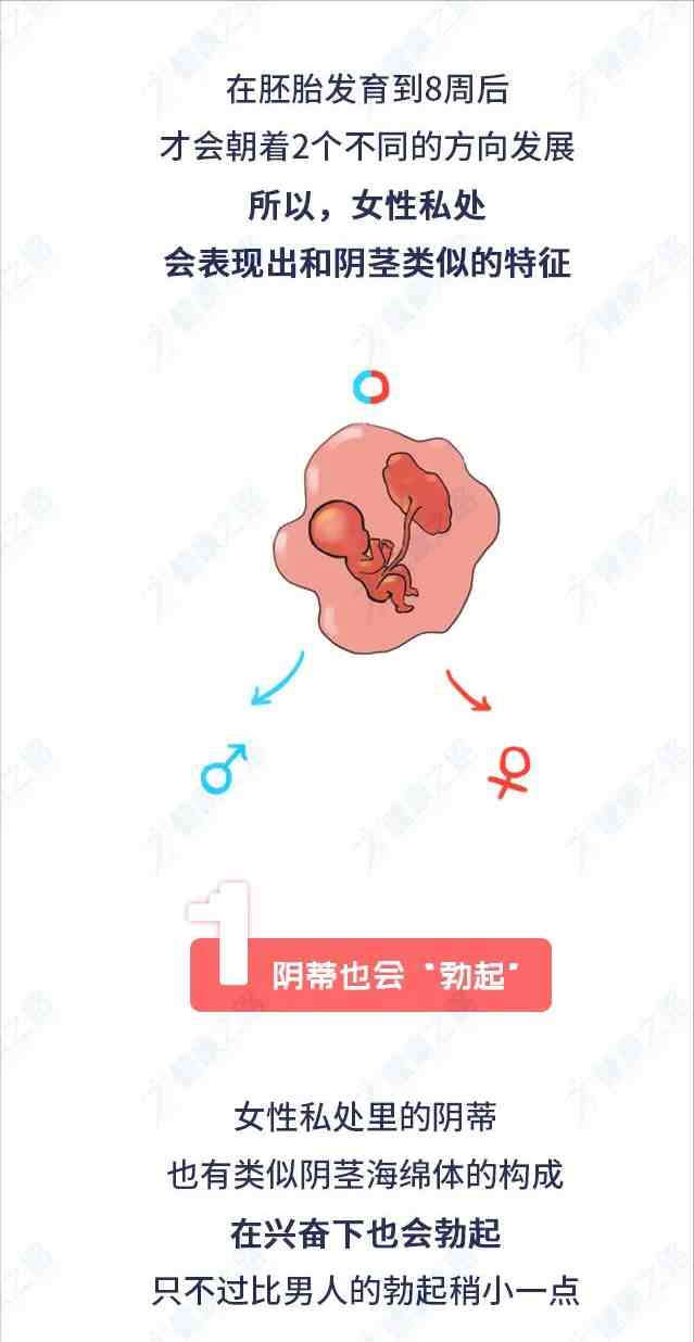 女人的身体秘密|女人身体的6个小秘密必知