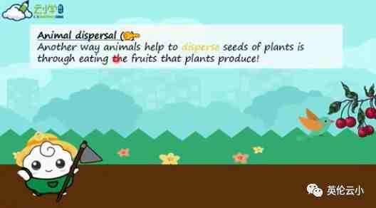 你知道植物的种子是怎么传播的吗？英国小学生这样学