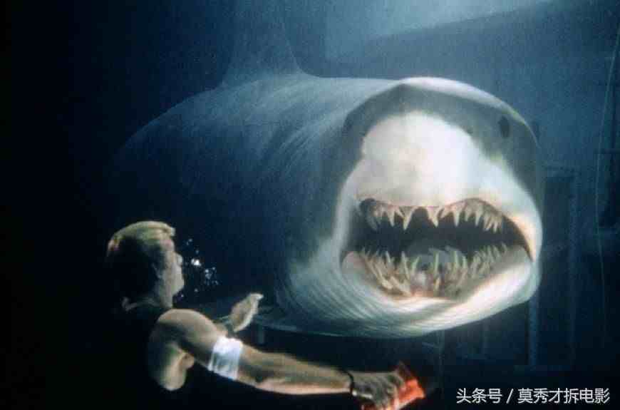 鲨鱼的电影|九部“鲨鱼电影”排行榜