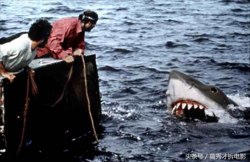 九部“鲨鱼电影”排行：《巨齿鲨》暂列第三，第四名最值得推荐