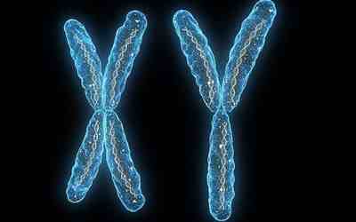 常见疾病中，有哪些属于常染色体显性遗传病？