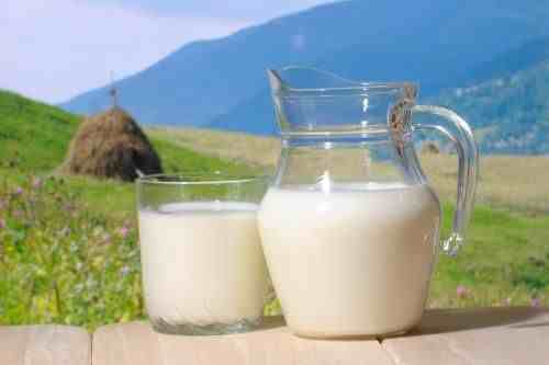 牛奶面膜怎么做|用牛奶自制防斑保湿面膜