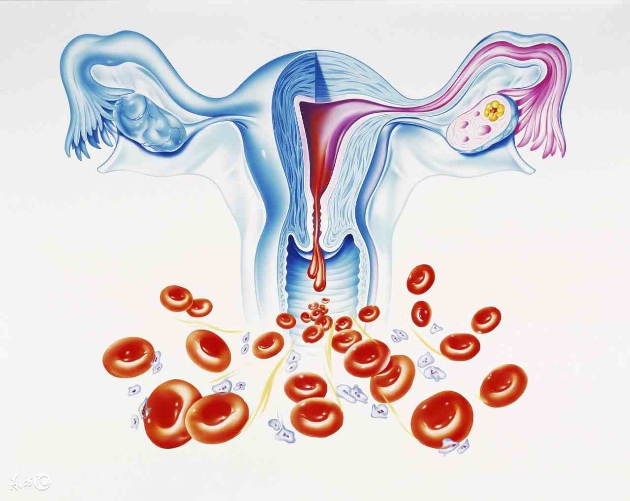 女性阴道出血原来有这么多原因，其中一类和性生活有关