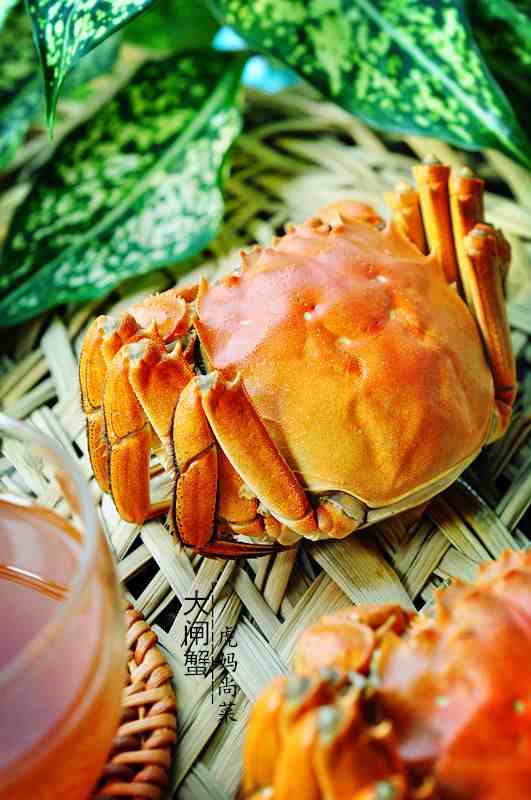 大闸蟹5吃法，醉蟹花椒蟹啤酒蟹，一点腥味没有，鲜美风味足