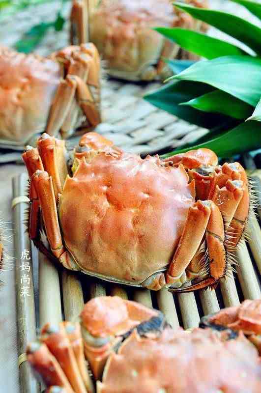 大闸蟹5吃法，醉蟹花椒蟹啤酒蟹，一点腥味没有，鲜美风味足