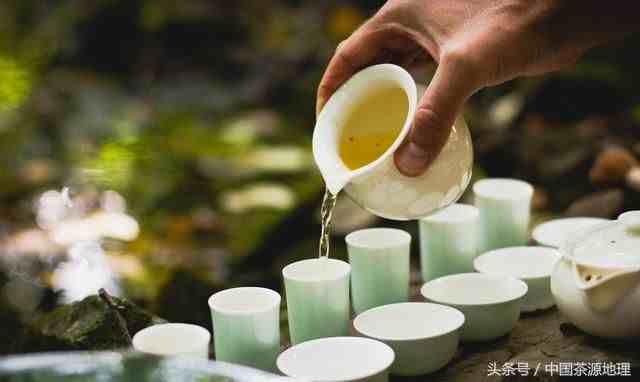 中国的茶文化|当代中国茶文化的理念
