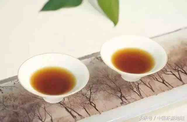 中国的茶文化|当代中国茶文化的理念