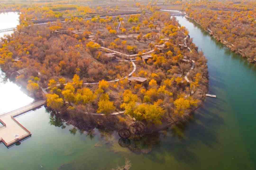316万亩！世界上面积最大的原始野生胡杨林，藏在新疆巴楚