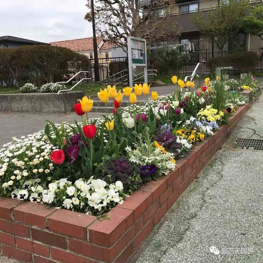 花境植物|7款花境设计案例