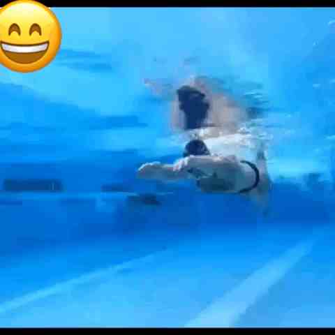 自由泳教程|自由泳完整教学流程
