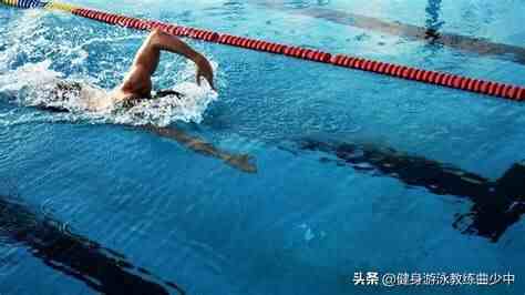 自由泳教程|自由泳完整教学流程
