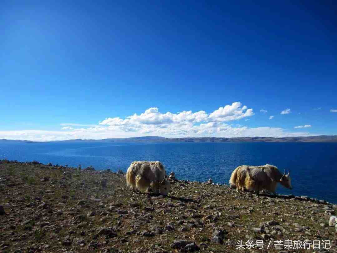 去西藏旅游费用多少钱|去一次西藏要多少钱？